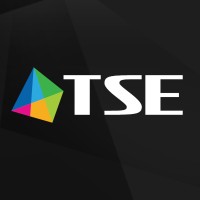 TSE Grupa