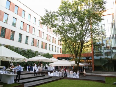Patio Dąb